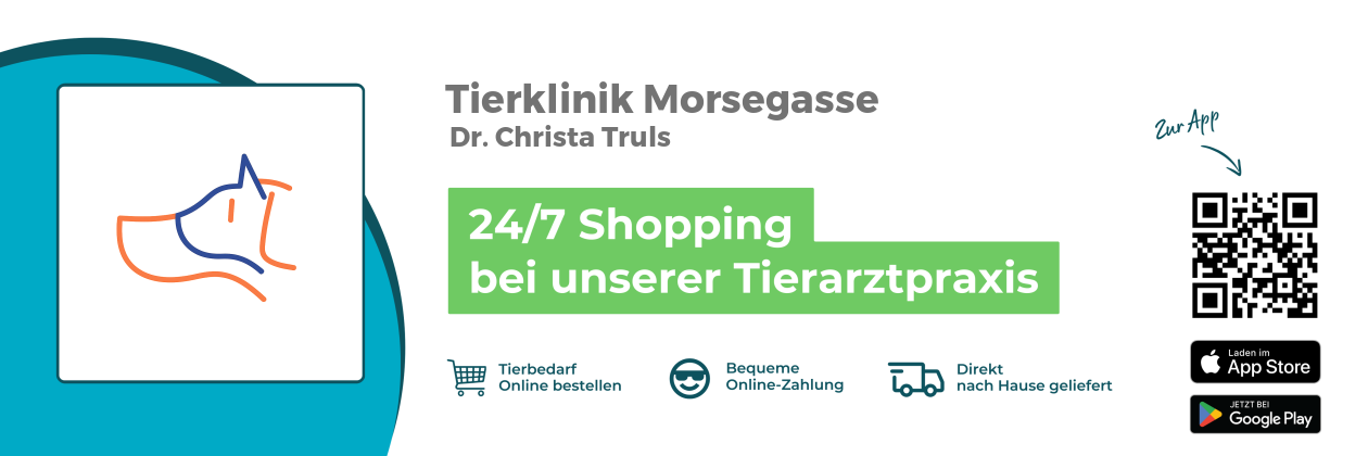 Banner_Shop_Morsegasse